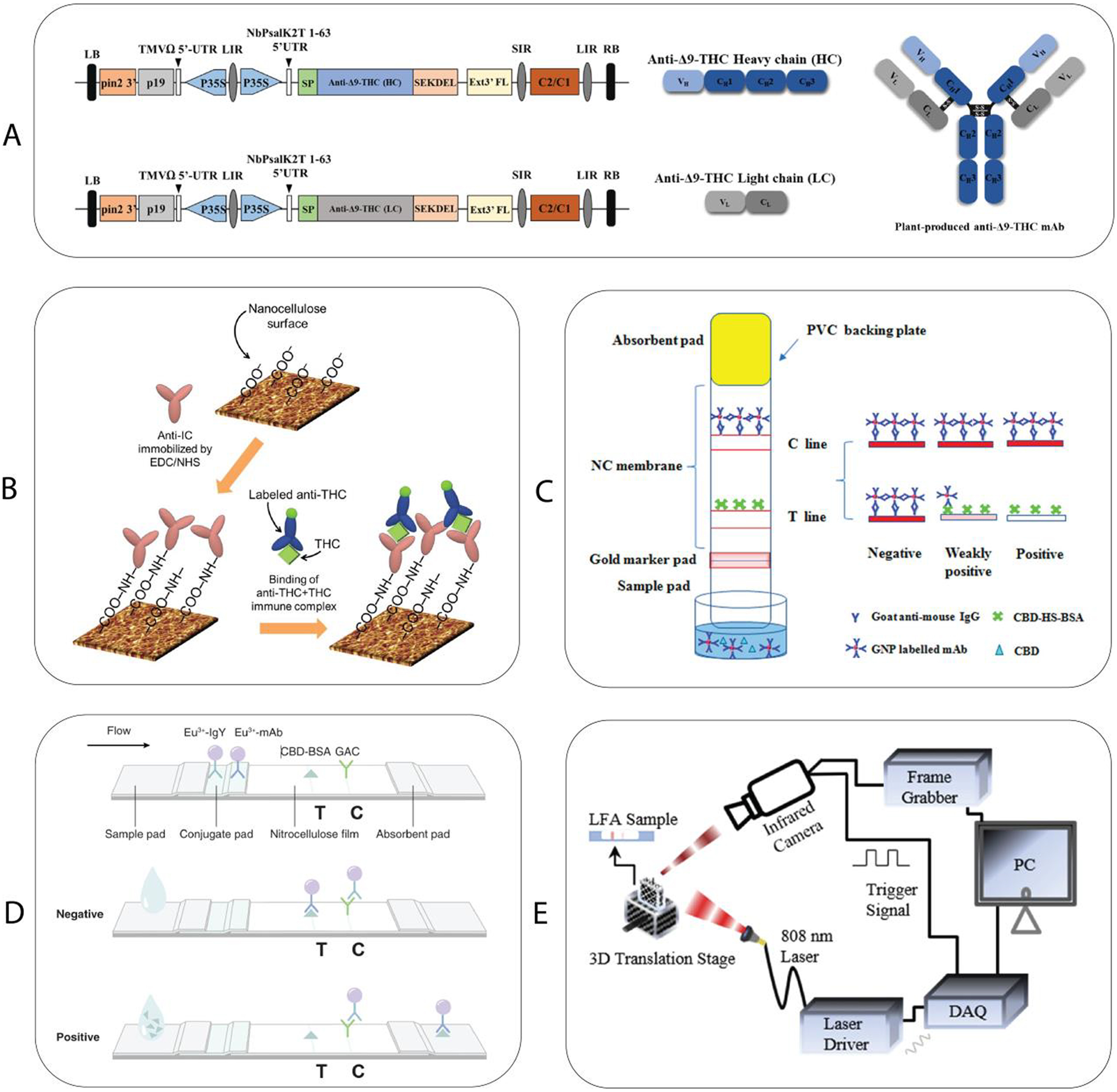 Cannabinoid biosensing review figure 1